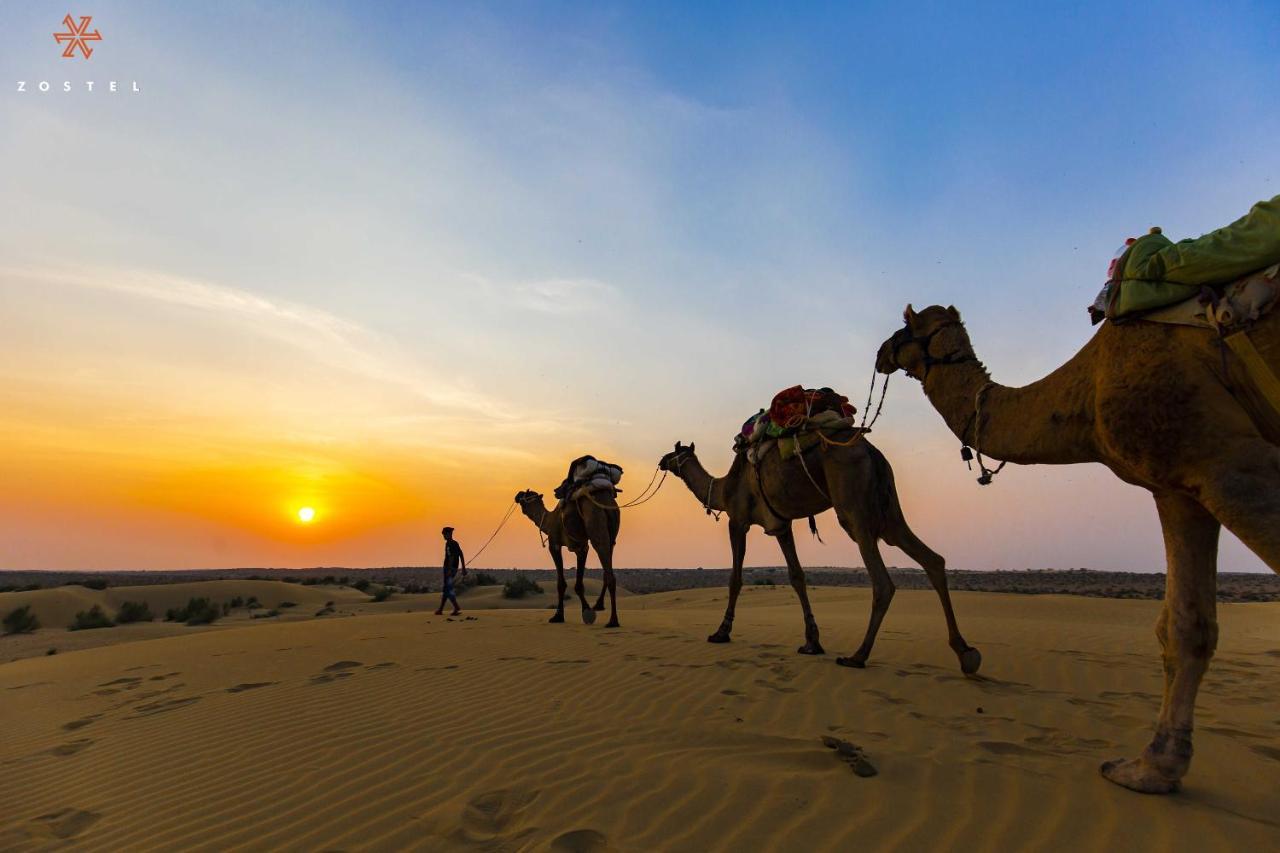 Zostel Sam Desert Εξωτερικό φωτογραφία